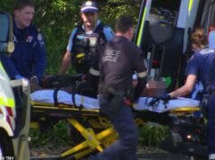 Bebê morto, outros dois lutando pela vida após o terror em Blue Mountains