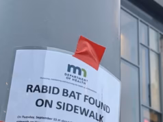 Uma mulher vista empunhando um bastão rápido em Minneapolis deixou a cidade em frenesi e lutando para encontrá-la.