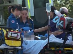 Desenvolvimento trágico após criança esfaqueada até a morte e duas gravemente feridas em Blue Mountains – conforme mãe confirmou como suspeita