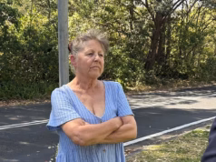 Detalhes horríveis surgem depois que a mãe de Sydney supostamente esfaqueou seus três filhos – matando um: testemunha fala