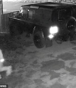 111375117-16147985-image-a-16_1789989474266.jpg