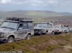 Bandidos que destroem belos lugares enquanto dirigem em terrenos privados em veículos 4×4 capturados com seu próprio vídeo TikTok