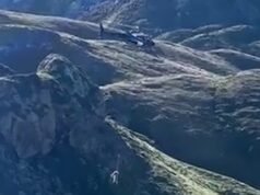 Dia de mudança! Momento hilário de vaca presa chamada Vahine é transportada de helicóptero de uma montanha na França