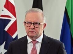Se aceitarmos a marreta implacável da KKK de Pauline Hanson, o que isso significa para Albo e o Hamas? Peter Van Onselen