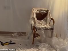 A polícia espanhola descobriu uma “câmara de tortura de narcotraficantes” revestida de plástico na cidade turística da Costa del Sol, depois que o homem encharcado de sangue fugiu gritando “eles querem nos matar”.