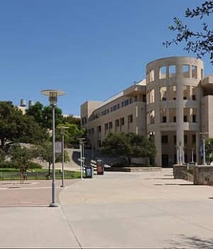 111407307-16151293-image-a-3_1790111115913.jpg