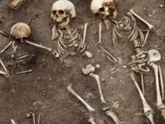 A peste estava matando famílias inteiras milhares de anos antes da Peste Negra