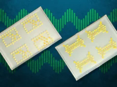 MIT transforma bactérias em transistores vivos