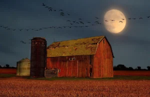 Setembro traz Vênus brilhante e uma Lua Colheita brilhante