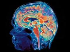 Cientistas de Stanford descobriram que o cérebro humano pode, na verdade, ser dois órgãos separados.