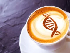 A cafeína pode ativar um antigo interruptor celular ligado ao envelhecimento mais lento