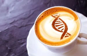 A cafeína pode ativar um antigo interruptor celular ligado ao envelhecimento mais lento