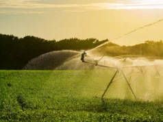 Os benefícios climáticos da irrigação podem ser equivalentes a 363 anos de suas próprias emissões