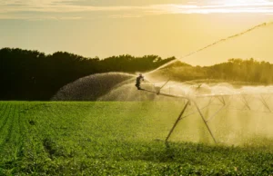 Os benefícios climáticos da irrigação podem ser equivalentes a 363 anos de suas próprias emissões