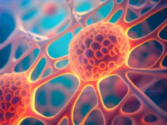 Cientistas descobrem células que enganam a morte e reconstroem tecidos danificados