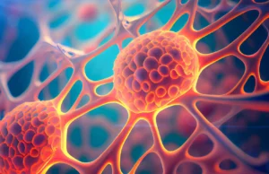 Cientistas descobrem células que enganam a morte e reconstroem tecidos danificados