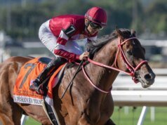 Forever Young brilha ao vencer a Jockey Club Gold Cup no dia da reabertura de Belmont
