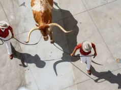 Texas x Ohio State: atualizações ao vivo, informações de TV/streaming, linhas de apostas para abertura da temporada