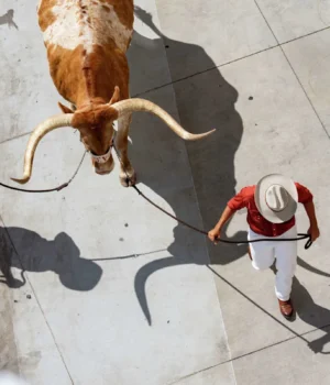 https3A2F2Fmedia.zenfs_.com2Fen2Faustin_american_statesman_hearst_articles_3612F59e8f8712b30d93.webp