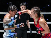 Como assistir One Fight Night 47: Stamp vs. Flores ao vivo