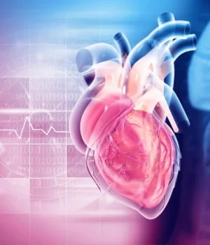 human-heart-anatomy-structure.webp