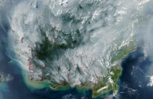 O incêndio mais perigoso da Indonésia está queimando no subsolo