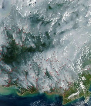indonesia-peatland-fires.webp