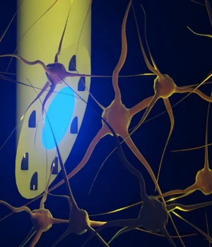 maxialtrode-illustration.webp