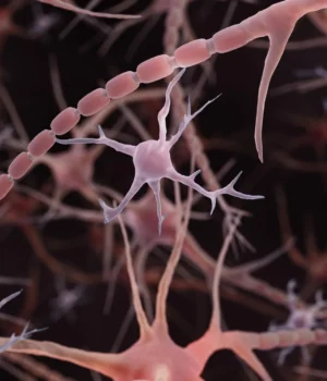 microglia-brain-immune-cells.webp