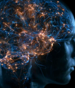 neuroscience-brain-connections-signal-processing.webp