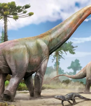 new-dinosaur-from-maranhao-state.webp