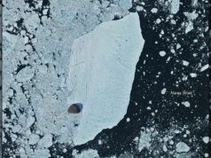 O iceberg gigante da Groenlândia que atingiu a ilha e sobreviveu
