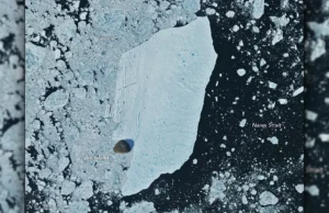 O iceberg gigante da Groenlândia que atingiu a ilha e sobreviveu