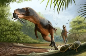 Penas de 66 milhões de anos em cocô de dinossauro podem revelar por que os pássaros sobreviveram ao asteróide