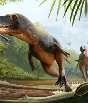 tyrannosaur-preying-on-ancient-diving-bird.webp