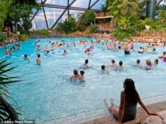 Uma pausa de meio período no Center Parcs não é o orgulho da classe média que você pensa que é… apesar do que Mumsnet diz: presunçoso, ganhando latidos em uma bicicleta alugada. Restaurante temático horrível. e a obrigatória hora de diversão em família. Dentro das minhas três férias no purgatório cheio de pinheiros