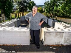 ‘Isto é Derbyshire, não a Coreia do Norte’: menino colocado ‘sob vigilância’ pelo conselho depois que uma batalha legal no portão do jardim despeja blocos gigantes de ‘Lego’ do lado de fora da casa de uma mãe idosa