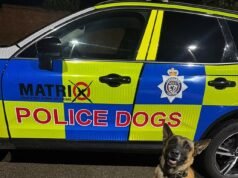 Feliz aposentadoria, PD Harle! Cão policial pendura coleira após oito anos na ‘linha de frente da captura de criminosos’