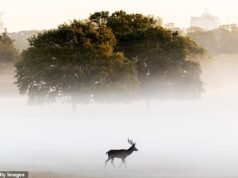 Acalmar! Aquele verão longo e quente finalmente dá lugar ao outono, quando o Met Office avisa que está “ficando mais frio para todos”