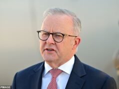 One Nation ultrapassa Anthony Albanese em novas votações, enquanto a votação do Partido Trabalhista cai para mínimos recordes