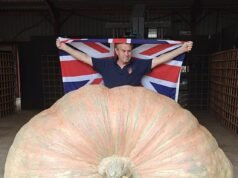 Cheio de cabaça! Vovô britânico quebra recorde mundial de maior abóbora… de novo