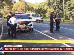 Um ciclista morreu após colidir com um cachorro no Central Park de Nova York