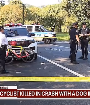 111669919-16184679-NYPD_officers_sealed_off_part_of_Central_Park_s_East_Drive_after-a-2_179125446467.avif