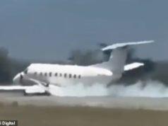 Avião safari cheio de turistas faz pouso de emergência após atingir uma zebra na decolagem na Tanzânia