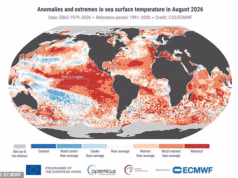 Super El Nino pode cortar sua Internet! Especialistas alertam que condições úmidas e ventosas podem provocar apagões de banda larga neste inverno