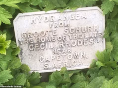 Richard Eden: O Estranho Caso de um Memorial Desaparecido a Cecil Rhodes