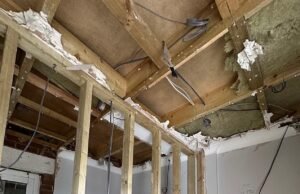 REVELADO: O estado chocante do lar do casal surdo DIY SOS depois que o construtor cowboy pegou suas economias de £ 72.000 – e o deixou pela metade