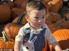 Tragédias como a do adorável menino de 2 anos, atropelado e morto enquanto colhia abóboras com sua família