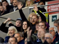 Não foi muito bem-vindo, o comentarista de TV vaiou o torcedor de rúgbi Harry – enquanto o time de Sussex insistia que estava zombando do árbitro.