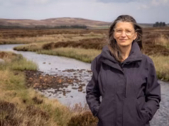 Scottish Green MSP enfrenta exigências de renúncia após endossar postagem anti-semita